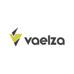 cef-spain-almacen-material-electrico-mayoristas-minoristas-logo-proveedor-vaelza